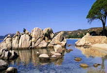 赛季收官战要点解析，球队需进一步提升