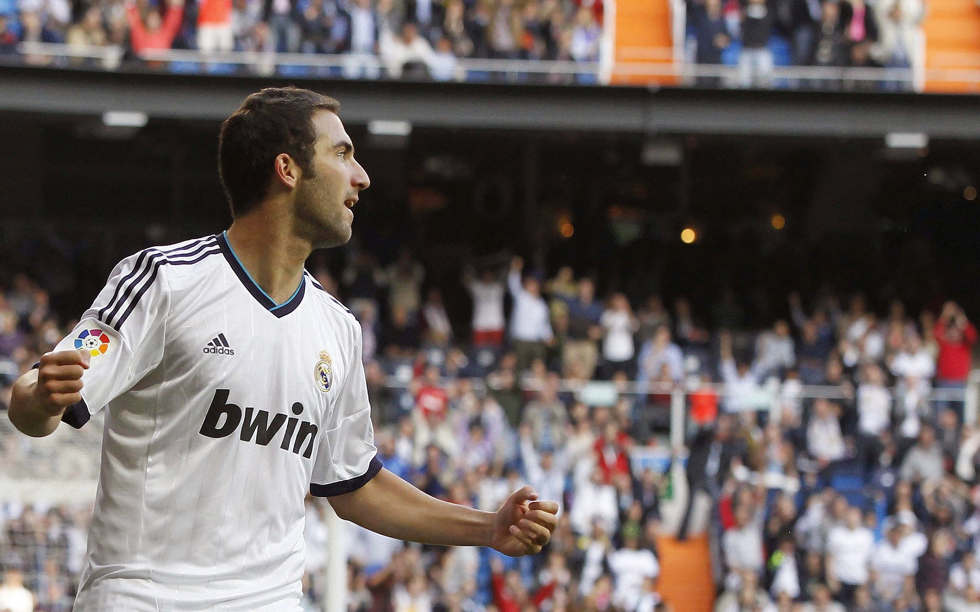 法网最新形势：密尔沃基雄鹿高居榜首，本菲卡强势追赶，冠军归属成迷